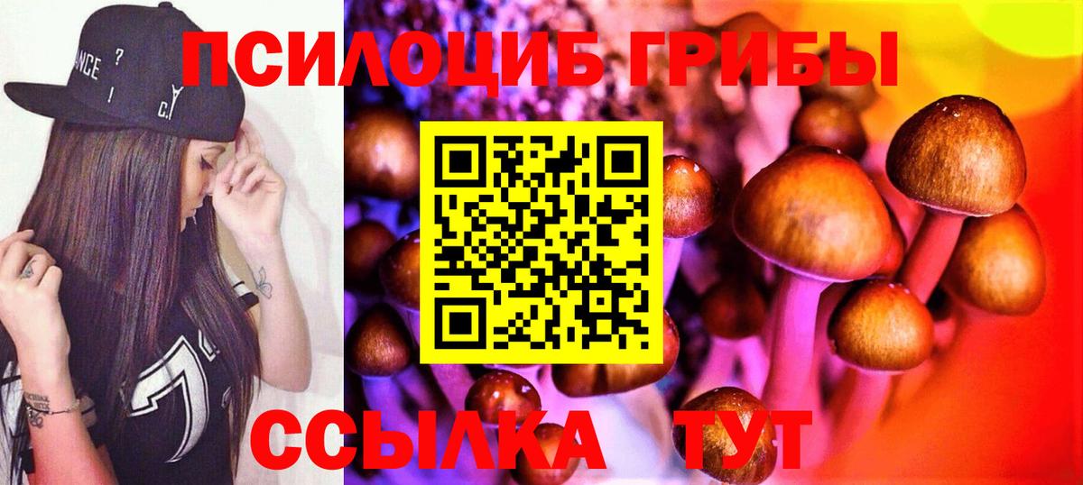 Галлюциногенные грибы Psilocybe Рославль
