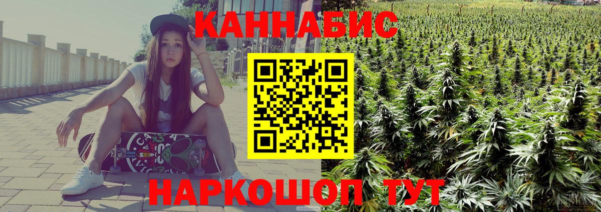 Бошки Шишки ГИДРОПОН Рославль